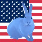 RABBIT FLAGS LAPIN Electric blue lapin Showroom - Inkjet sur plexi, éditions limitées, numérotées et signées .Peinture animalière Art et décoration.Images multiples, commandez au peintre Thierry Bisch online